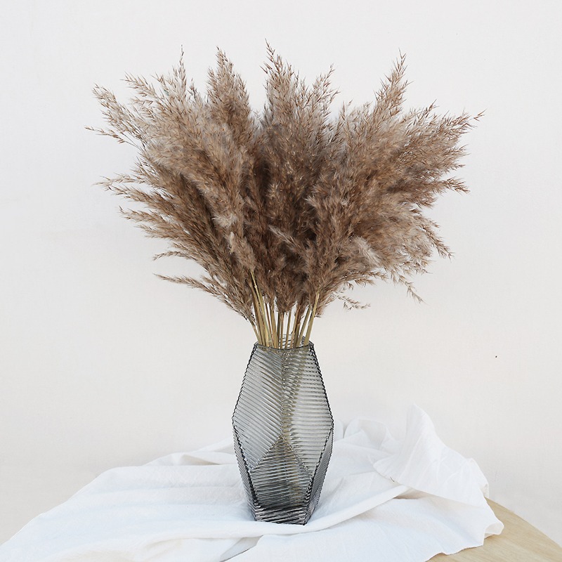10 قطع من أعشاب البامباس الطبي - مراجعة Florist Supply Vases وسعره